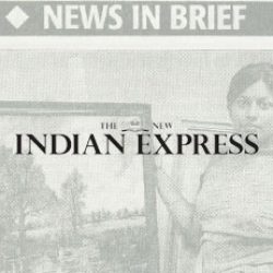 artist- Lakshmi Shankarreddy - San Francisco Bay Area - art show - California- the new Indian express newspaper - British council - Bengaluru fuzzy